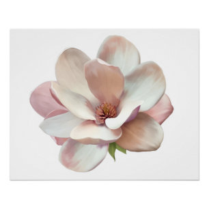 Póster Cartaz de magnólia sulista rosa