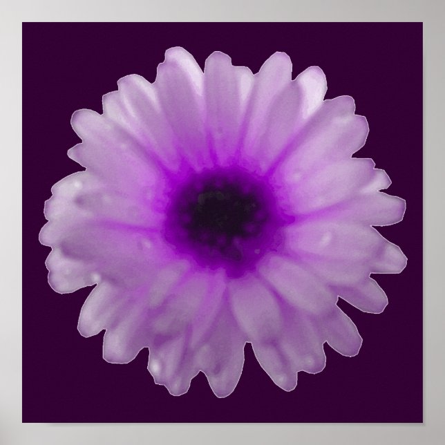 Póster Cartaz de Marigold Branco e Roxo (Frente)