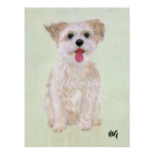 Póster Cartaz de Morkie com Texto