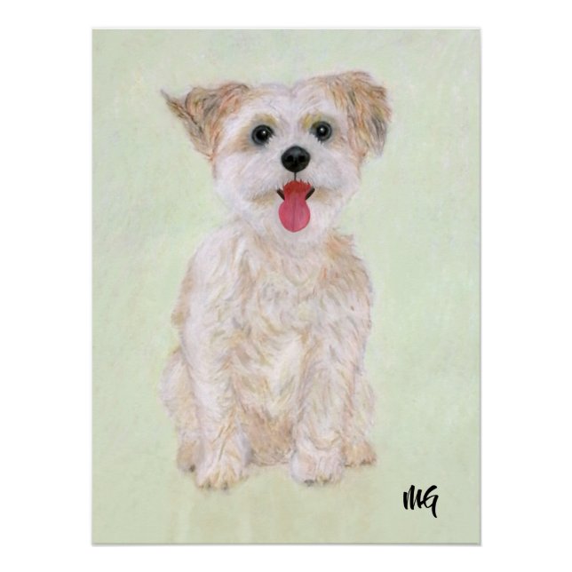 Póster Cartaz de Morkie com Texto (Frente)