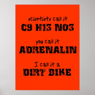 Póster Cartaz de Motocross Adrenalina de Moto de Trilha