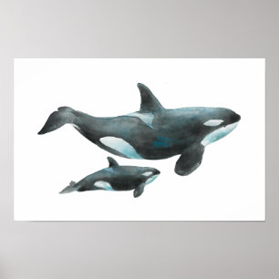 Poster Cartaz de Orca Mãe e Bebê em Aquarela