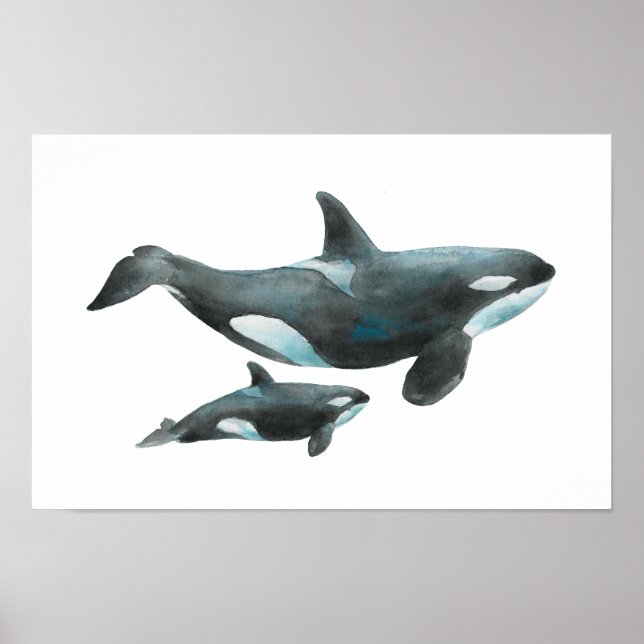 Poster Cartaz de Orca Mãe e Bebê em Aquarela (Frente)
