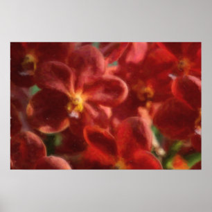 Póster Cartaz de Orquídea Tropical Havaiana