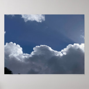 Poster Cartaz de Ovelhas Pacíficas Pastando ao Pôr do Sol