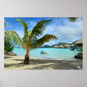 Póster Cartaz de palmeira e resort sobre as águas
