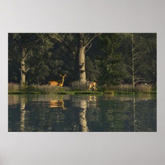 Poster Cartaz de papel 30" x 24" com imagem "Sobressaltad
