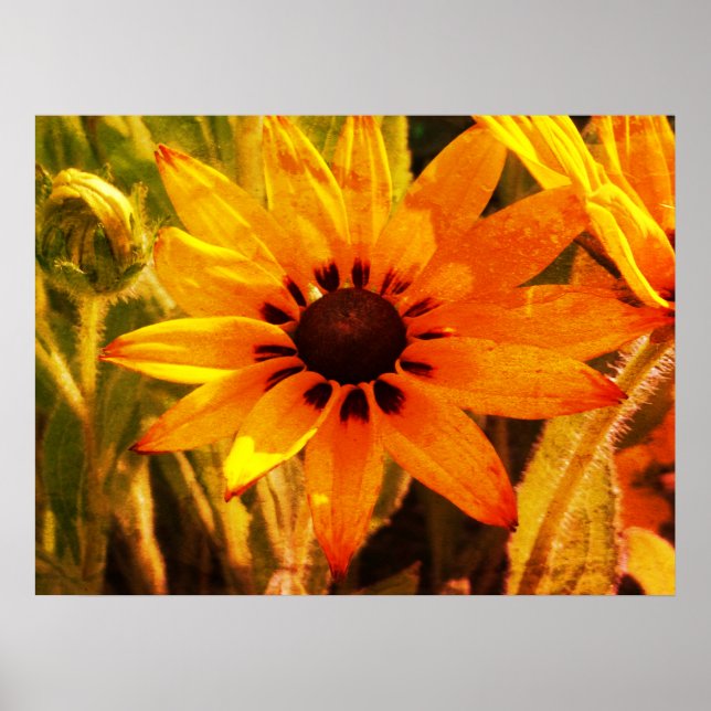 Poster Cartaz de papel de valor de foto de flores amarela (Frente)