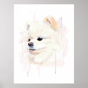 Poster Cartaz de Parede do Cão Pomerânia, Pintura Aquarel