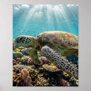 Poster Cartaz de Parede Sem Brilho de Tartaruga Marinha R