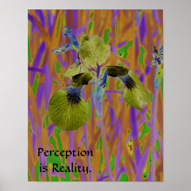 Póster Cartaz de Percepção é Realidade-Iris (Frente)