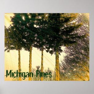 Póster Cartaz de Pinheiros de Michigan