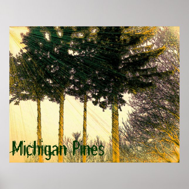 Póster Cartaz de Pinheiros de Michigan (Frente)