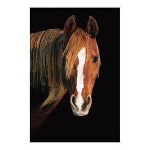 Cartaz de pintura de cavalo