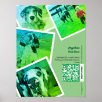 Cartaz de Promoção de Canis do Grande Danês
