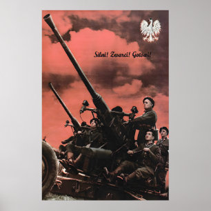 Poster Cartaz de Propaganda da Força Aérea Polonesa na Se