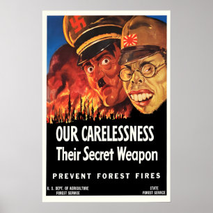 Poster Cartaz de Propaganda EUA Prevenir Incêndios Flores