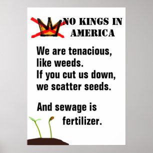 Poster cartaz de protesto No Kings - Somos como ervas dan