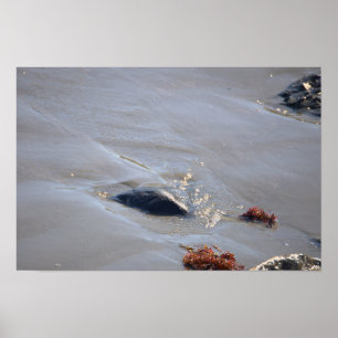 Poster Cartaz de Rochas no Oceano