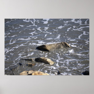 Poster Cartaz de Rochas no Oceano