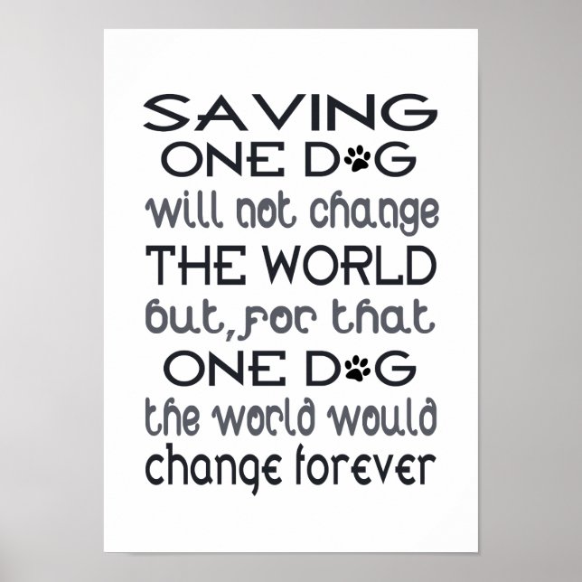 Poster Cartaz de Salvando um Cão (Frente)