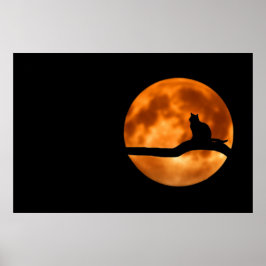 Poster Cartaz de Silhueta de Gato ao Luar