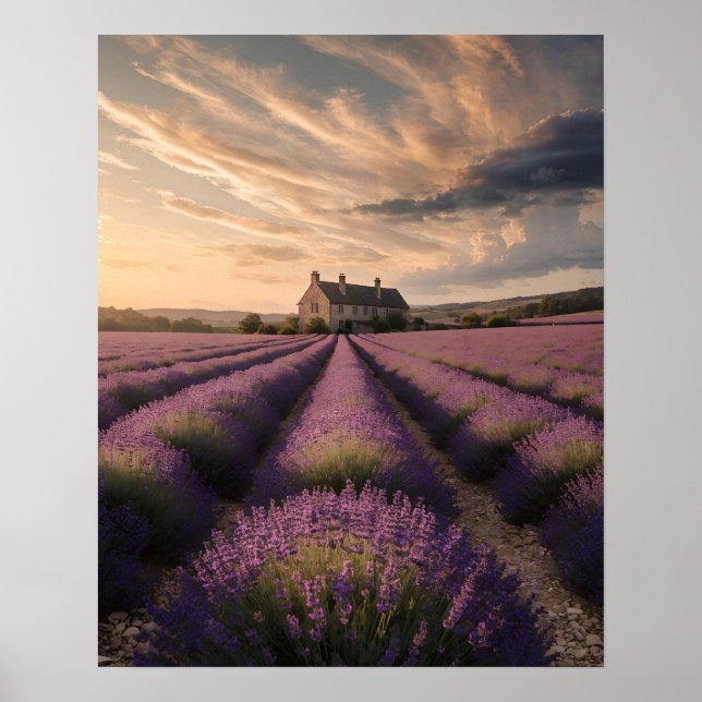 Poster Cartaz de Sonhos de Lavanda da Provença (Frente)