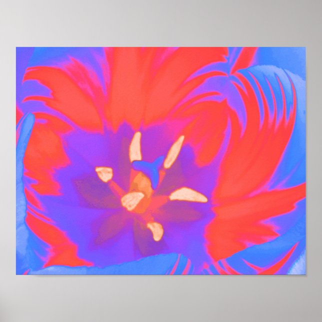 Póster Cartaz de Tulipa Fluorescente (Frente)