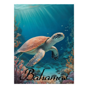 Póster Cartaz de Viagem da Tartaruga Marinha das Bahamas