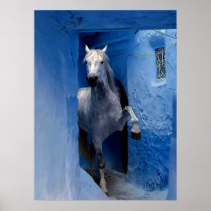 Poster Cartaz de Viagem do Cavalo Branco