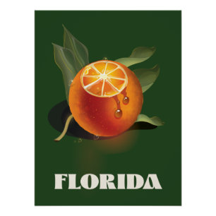 Póster cartaz de viagem Florida Orange