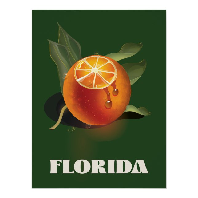 Póster cartaz de viagem Florida Orange (Frente)