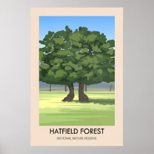 Poster Cartaz de Viagens do Hatfield Forest