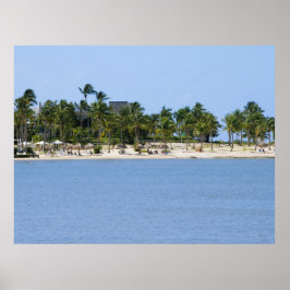 Poster Cartaz de vista tropical