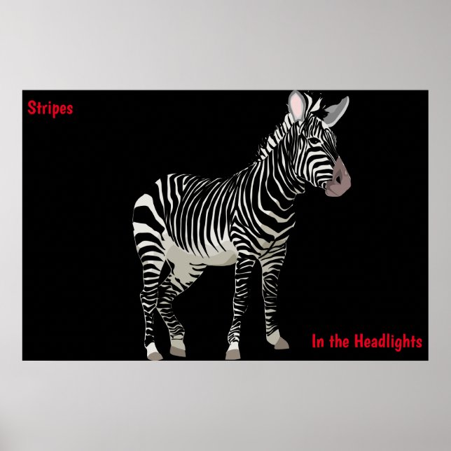 Poster Cartaz de Zebra (Frente)