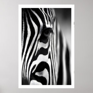 Poster Cartaz de Zebra da Vida Selvagem, Listras Monocrom