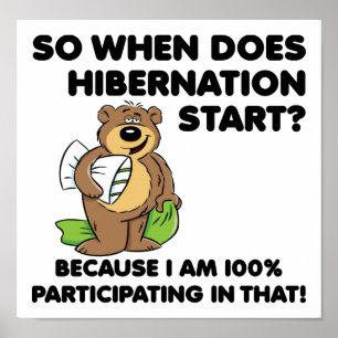 Poster Cartaz Divertido de Hibernação