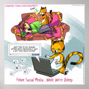 Poster Cartaz Divertido de Mídia Social Felina