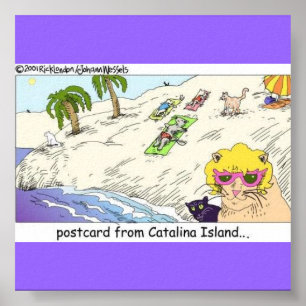 Póster Cartaz Divertido dos Gatos da Ilha Catalina
