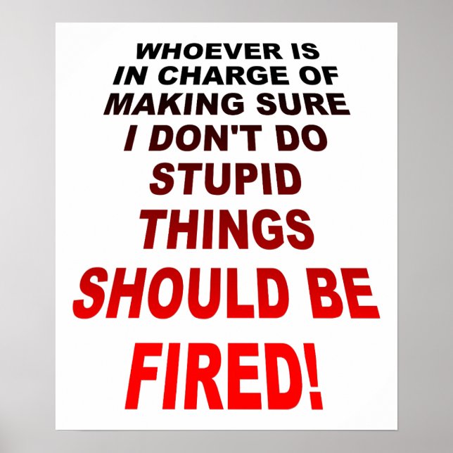 Poster Cartaz Divertido Fazendo Coisas Estúpidas (Frente)