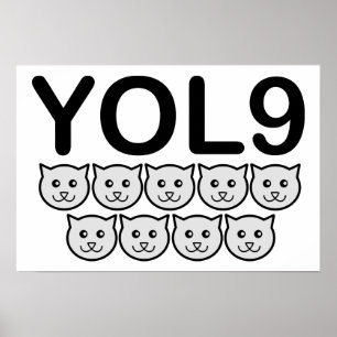 Poster Cartaz Divertido YOL9