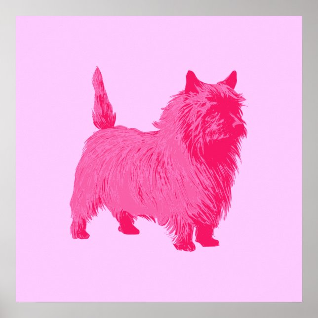 Póster Cartaz do Cairn Terrier Rosa (Frente)
