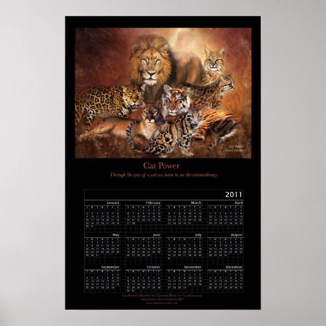 Poster Cartaz do Calendário de Arte de 2011 da Cat Power (Frente)