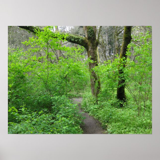 Poster Cartaz do Caminho da Natureza (Frente)