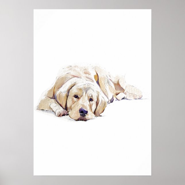 Poster Cartaz do Cão Retriever Dourado - Presente para Am (Frente)