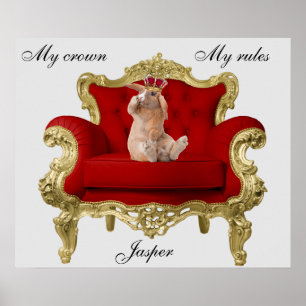 Poster Cartaz do Coelho Real