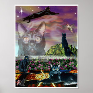 Poster Cartaz do Cosmos
