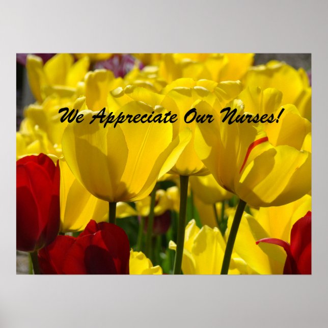 Póster Cartaz do Dia dos Enfermeiros Tulipas Agradecemos  (Frente)
