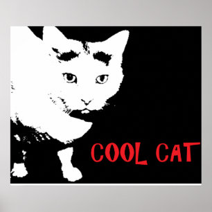 PÓSTER CARTAZ DO GATO LEGAL