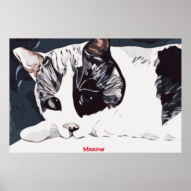 Poster Cartaz do Gato Meeow (Frente)